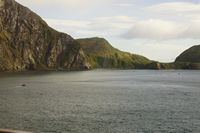 
DSC00013